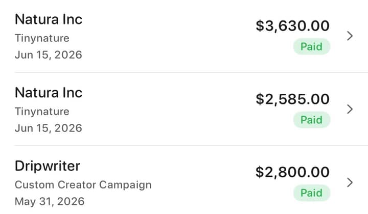 Three paid campaigns in a row: $3,630 and $2,585 from Natura, $2,800 from Dripwriter.
